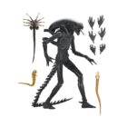 ALIEN: ROMULUS XENOMORPH XX121 ULTIMATE 7 INCH SCALE ACTION FIGURE