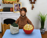 ALF - ALIEN LIFE FORM