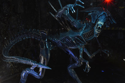 NECA 15" Figure Aliens Xenomorph Queen