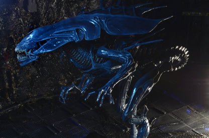 NECA 15" Figure Aliens Xenomorph Queen