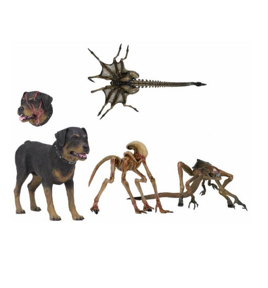 7" Scale Action Figure - Assortment NECA Alien 3 Bambi Burster, Queen Burster,Queen Facehugger & Rottweiler