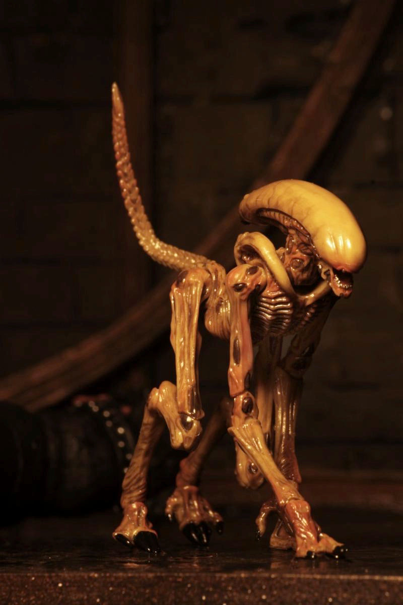 7" Scale Action Figure - Assortment NECA Alien 3 Bambi Burster, Queen Burster,Queen Facehugger & Rottweiler