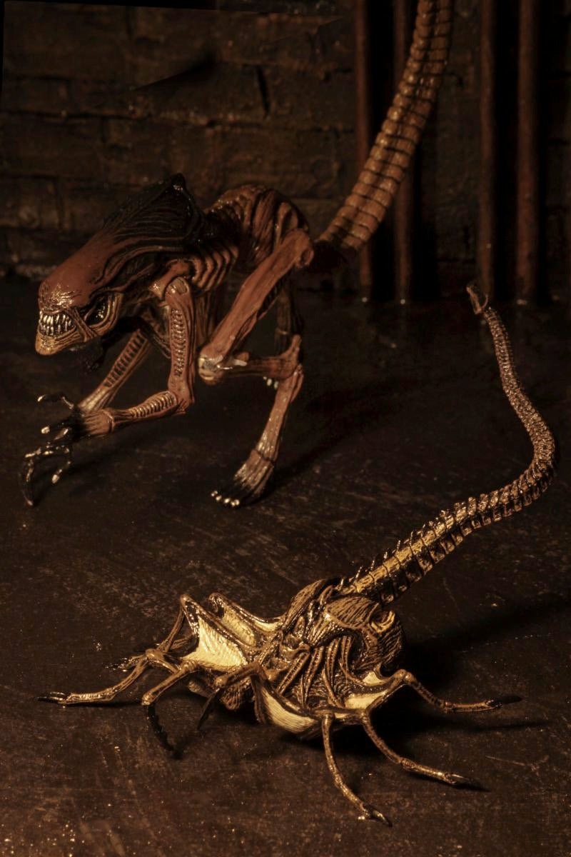 7" Scale Action Figure - Assortment NECA Alien 3 Bambi Burster, Queen Burster,Queen Facehugger & Rottweiler