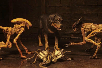 7" Scale Action Figure - Assortment NECA Alien 3 Bambi Burster, Queen Burster,Queen Facehugger & Rottweiler