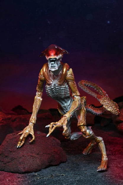 ALIENS PANTHER ALIEN (KENNER TRIBUTE) 7 INCH SCALE ACTION FIGURE - REDUCTION