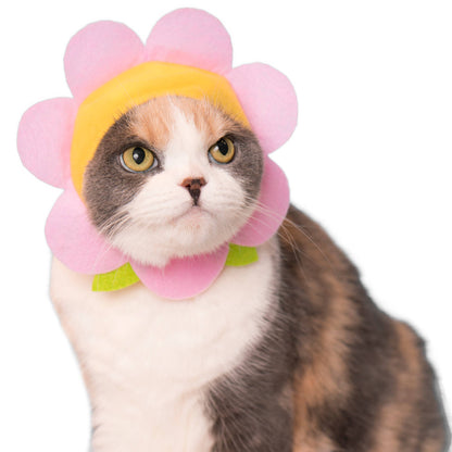 Kitan Club Cat Cap Blind Box - Flower